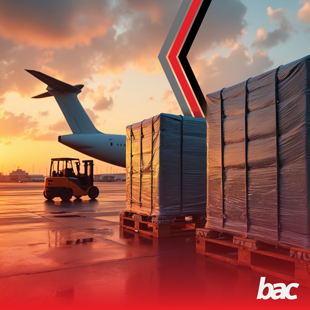 Warehouse worker loading pallet cargo for FCL and LCL sea freight planning